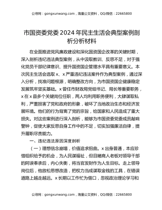 市国资委党委2024年民主生活会典型案例剖析分析材料