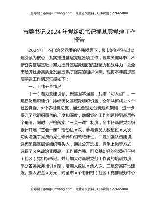 市委书记2024年党组织书记抓基层党建工作报告