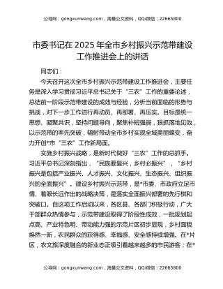 市委书记在2025年全市乡村振兴示范带建设工作推进会上的讲话