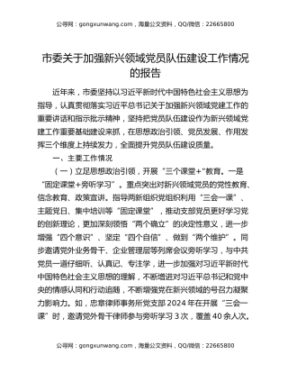 市委关于加强新兴领域党员队伍建设工作情况的报告