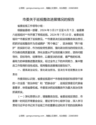 市委关于巡视整改进展情况的报告