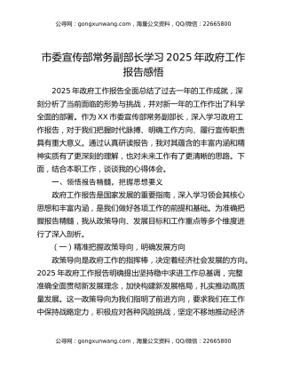 市委宣传部常务副部长学习2025年政府工作报告感悟