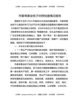市委常委会班子对照检查情况报告