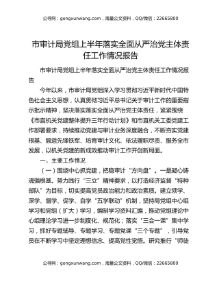 市审计局党组上半年落实全面从严治党主体责任工作情况报告