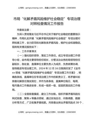 市局“化解矛盾风险 维护社会稳定”专项治理对照检查情况工作报告