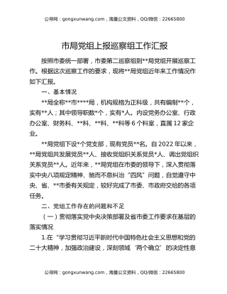 市局党组上报巡察组工作汇报