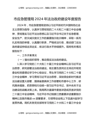 市应急管理局2024年法治政府建设年度报告