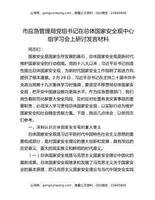 市应急管理局党组书记在总体国家安全观中心组学习会上研讨发言材料