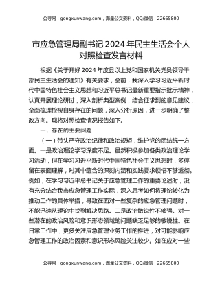 市应急管理局副书记2024年民主生活会个人对照检查发言材料