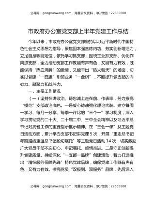 市政府办公室党支部上半年党建工作总结