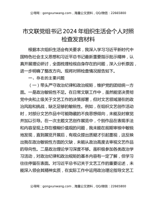 市文联党组书记2024年组织生活会个人对照检查发言材料