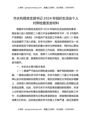 市水利局党支部书记2024年组织生活会个人对照检查发言材料
