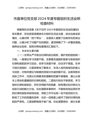 市直单位党支部2024年度专题组织生活会照检查材料
