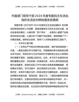 市直部门领导干部2024年度专题民主生活会、组织生活会对照检查发言提纲