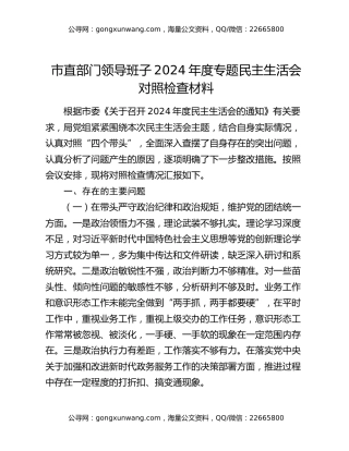 市直部门领导班子2024年度专题民主生活会对照检查材料