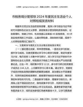 市税务局分管领导2024年度民主生活会个人对照检视发言材料