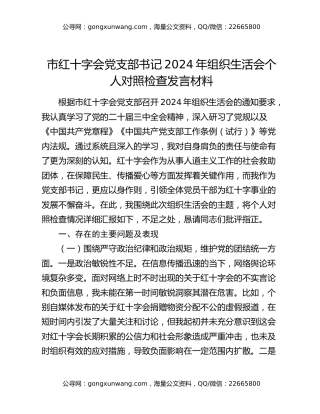 市红十字会党支部书记2024年组织生活会个人对照检查发言材料