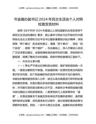 市金融办副书记2024年民主生活会个人对照检查发言材料