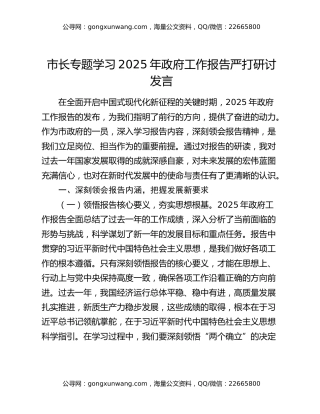 市长专题学习2025年政府工作报告严打研讨发言