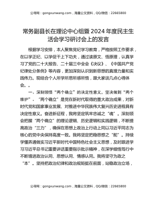 常务副县长在理论中心组暨2024年度民主生活会学习研讨会上的发言