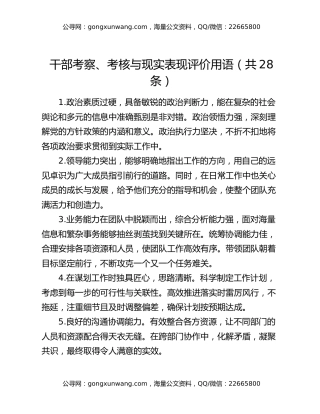干部考察、考核与现实表现评价用语（共28条）