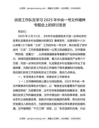 扶贫工作队在学习2025年中央一号文件精神专题会上的研讨发言