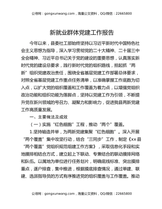 新就业群体党建工作报告