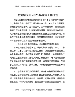 村党总支部2025年党建工作计划