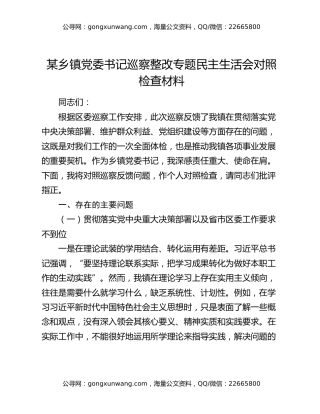 某乡镇党委书记巡察整改专题民主生活会对照检查材料