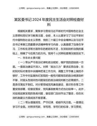 某区委书记2024年度民主生活会对照检查材料