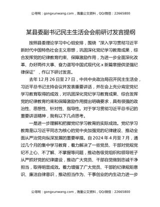某县委副书记民主生活会会前研讨发言提纲