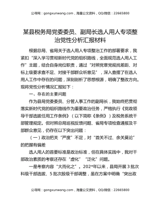 某县税务局党委委员、副局长选人用人专项整治党性分析汇报材料