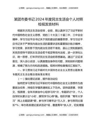 某团市委书记2024年度民主生活会个人对照检视发言材料