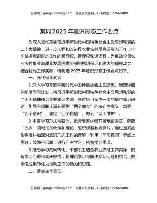 某局2025年意识形态工作要点