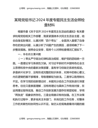 某局党组书记2024年度专题民主生活会照检查材料