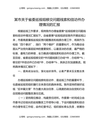 某市关于省委巡视组移交问题线索和信访件办理情况的汇报