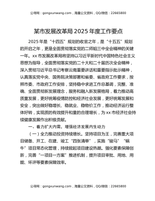 某市发展改革局2025年度工作要点