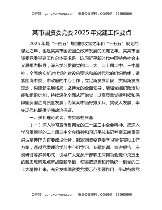 某市国资委党委2025年党建工作要点