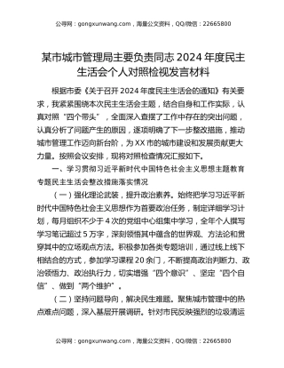 某市城市管理局主要负责同志2024年度民主生活会个人对照检视发言材料