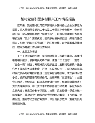 某村党建引领乡村振兴工作情况报告
