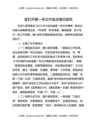 某村开展一号文件宣讲情况报告