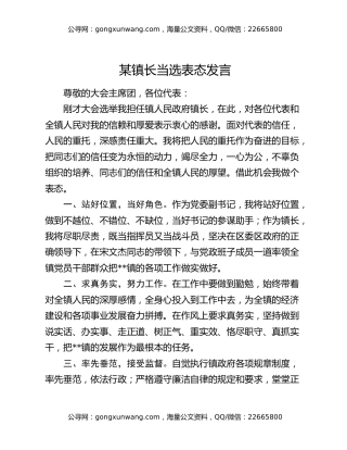 某镇长当选表态发言
