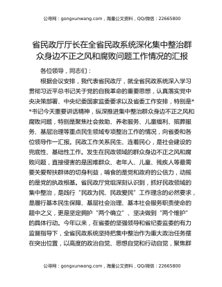省民政厅厅长在全省民政系统深化集中整治群众身边不正之风和腐败问题工作情况的汇报