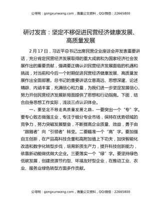 研讨发言：坚定不移促进民营经济健康发展、高质量发展
