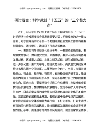 研讨发言：科学谋划“十五五”的“三个着力点”