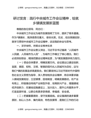 研讨发言：践行中央城市工作会议精神，绘就乡镇镇发展新蓝图