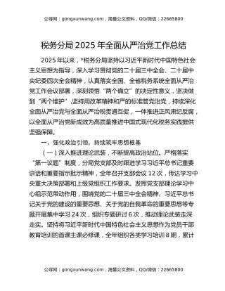 税务分局2025年全面从严治党工作总结