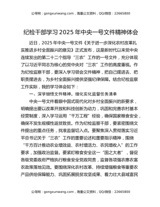 纪检干部学习2025年中央一号文件精神体会