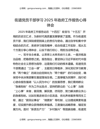 街道党员干部学习2025年政府工作报告心得体会