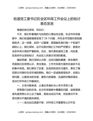 街道党工委书记在全区环保工作会议上的检讨表态发言